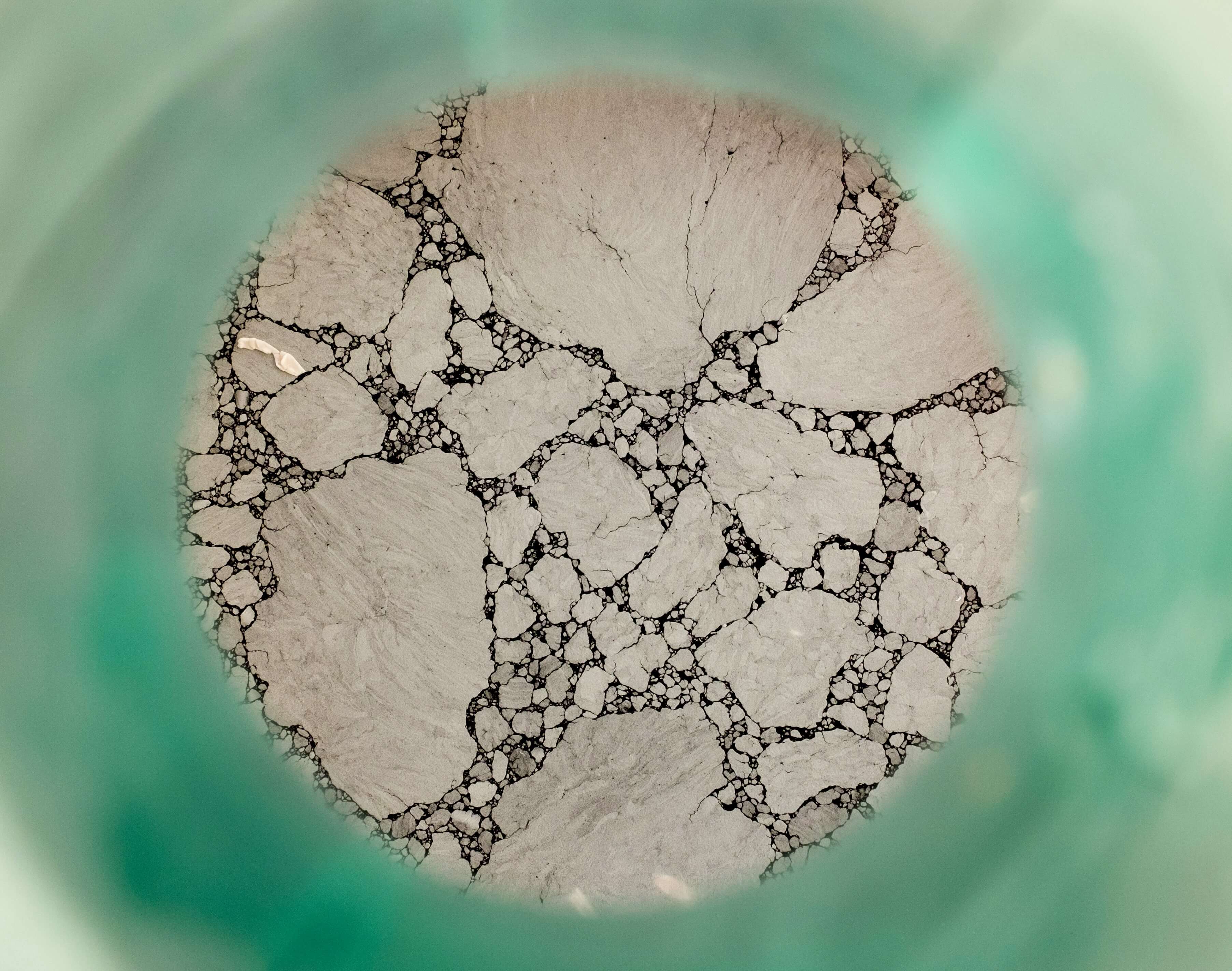AI-driven mold microscopy at Air Allergen