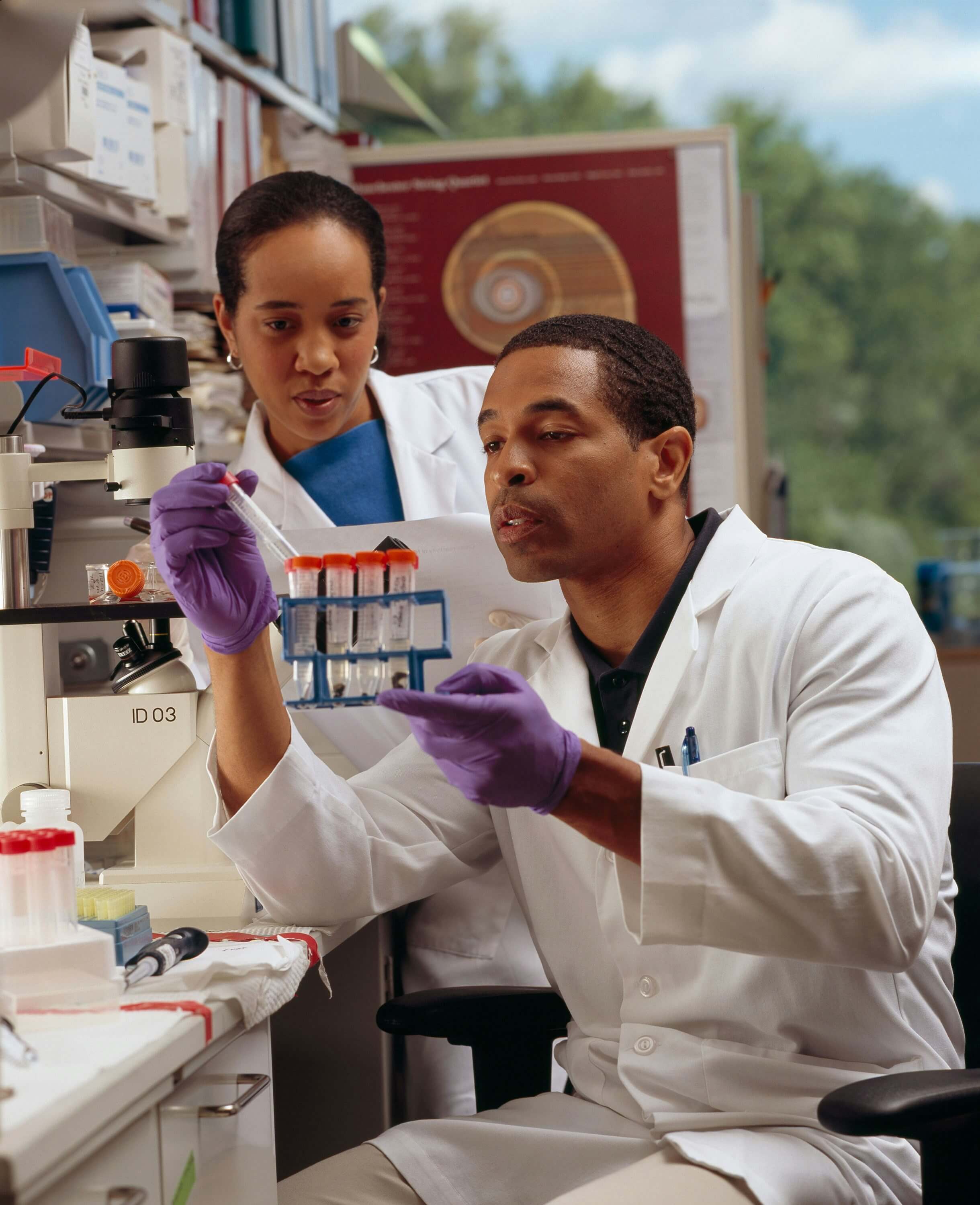 Environmental professionals reviewing analysis results