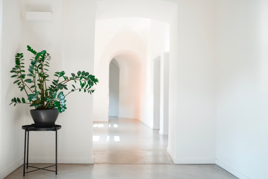 Bright modern home interior