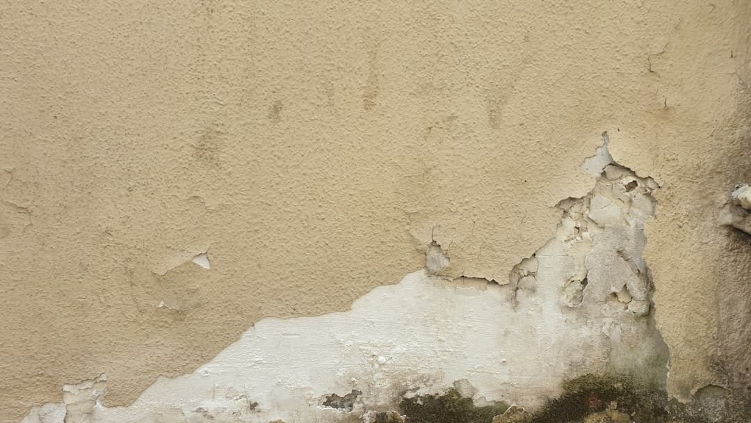 Water-damaged wall material ready for bulk sampling