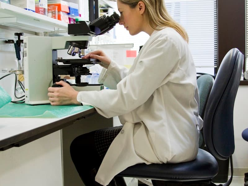 Microscopic analysis of mold spores in laboratory setting